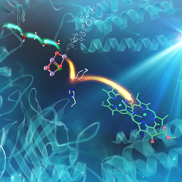 Image representing Physical chemistry department